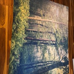 Forest Tapestry